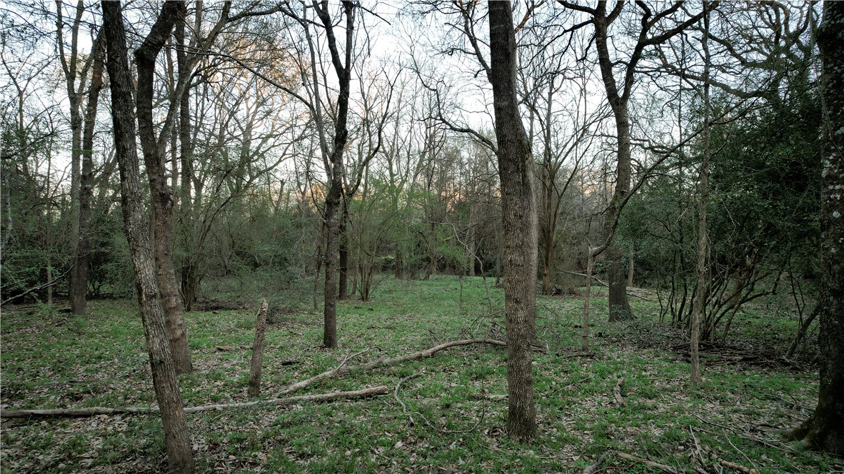 Tbd Tbd 11.27ac Opersteny Road Bryan, TX 77808 - Photo 7 of 15 a view of a forest that has large trees