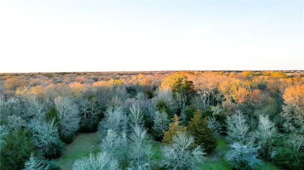 an aerial view of houses covered in trees