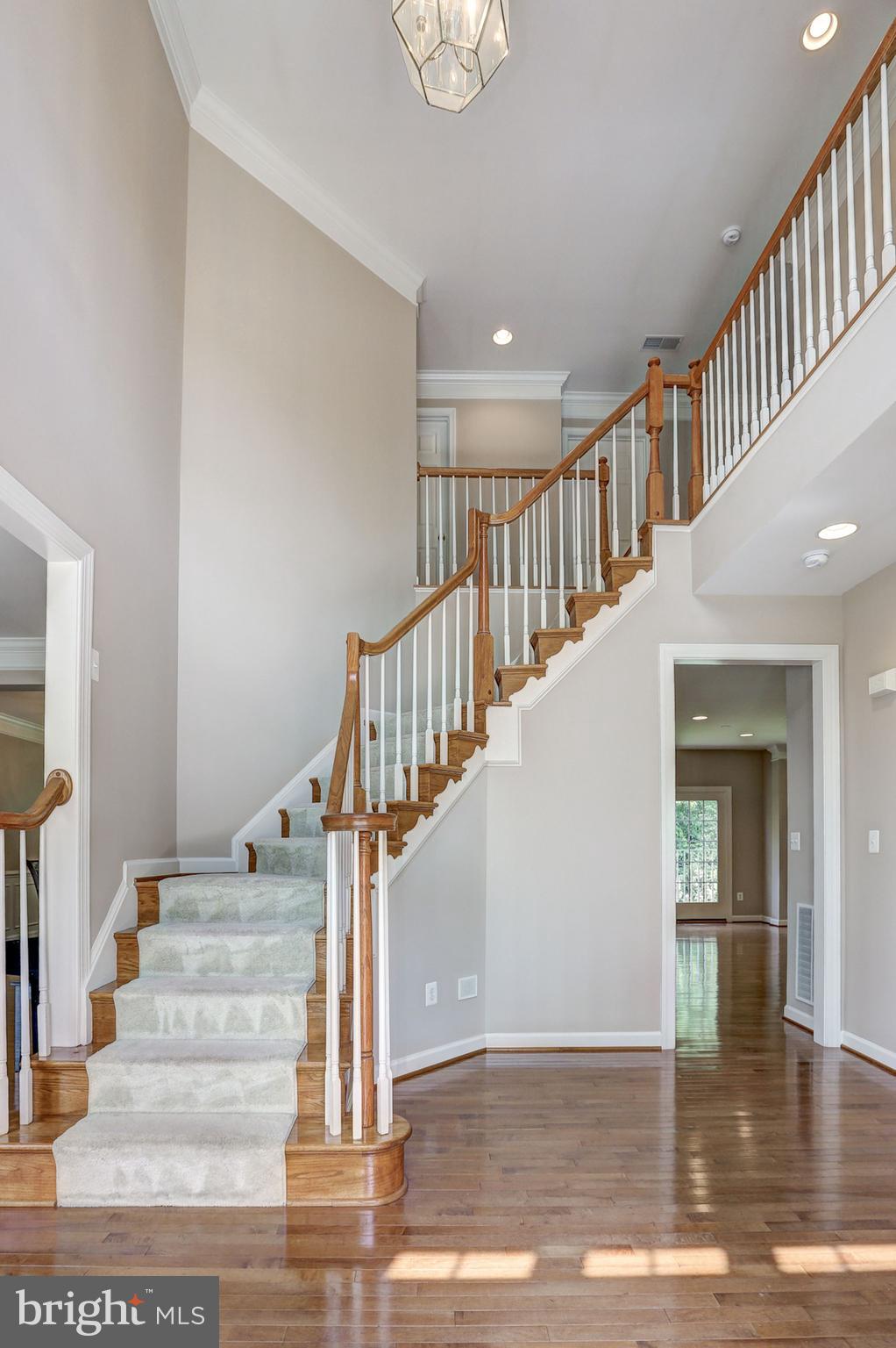14424 Fairdale Road Silver Spring, MD 20905 - Photo 4 of 58 Gallery Image 4