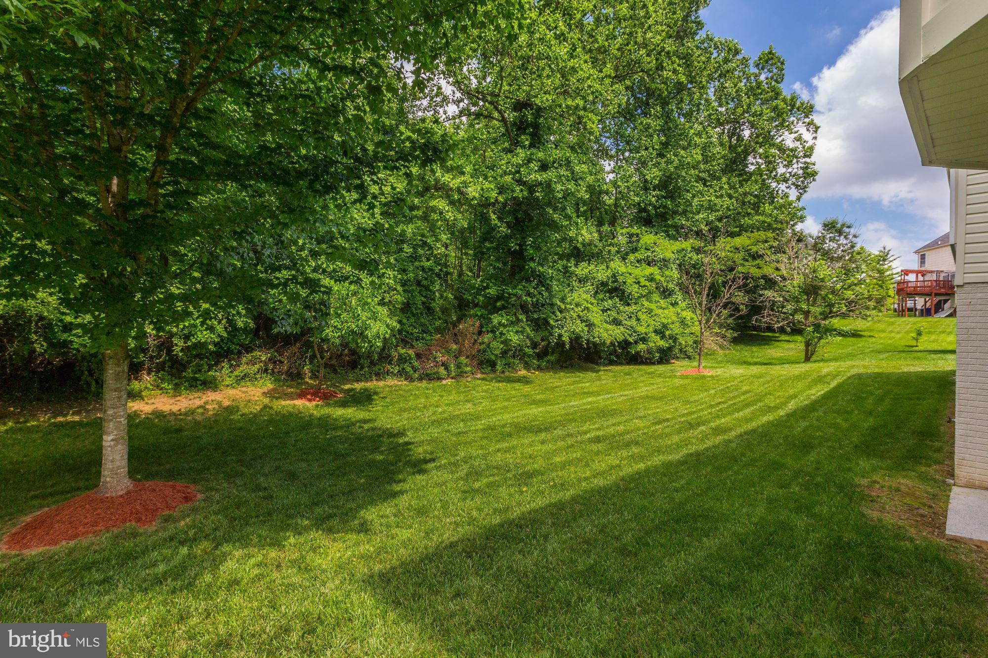 14424 Fairdale Road Silver Spring, MD 20905 - Photo 55 of 58 Gallery Image 55
