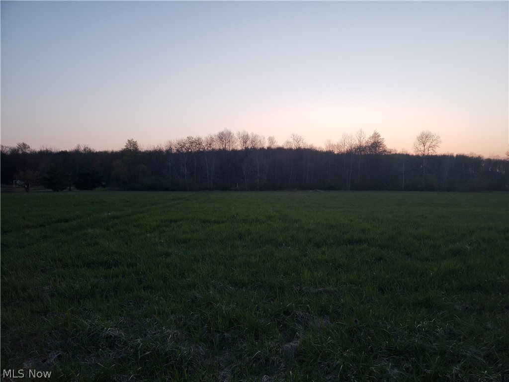 Vl1 Atkins Road Geneva, OH 44041 - Photo 2 of 4