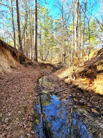 $711,230 | 1585 County Road 1585, Grapeland, TX 75844