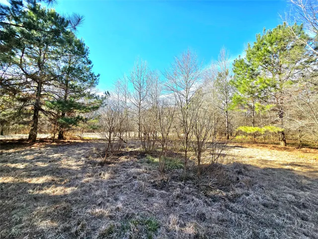 $711,230 | 1585 County Road 1585, Grapeland, TX 75844