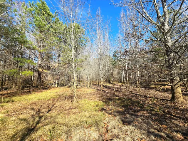 $711,230 | 1585 County Road 1585, Grapeland, TX 75844