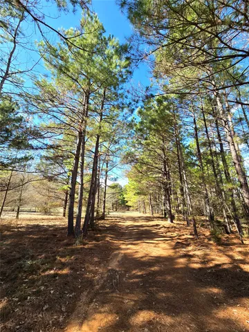 $711,230 | 1585 County Road 1585, Grapeland, TX 75844