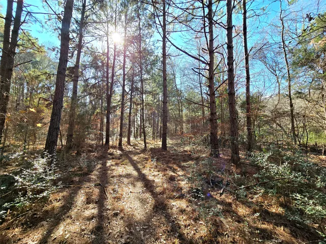 $711,230 | 1585 County Road 1585, Grapeland, TX 75844