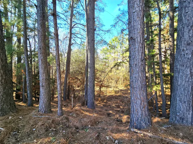 $711,230 | 1585 County Road 1585, Grapeland, TX 75844