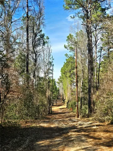 $711,230 | 1585 County Road 1585, Grapeland, TX 75844