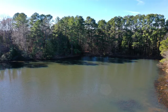 $711,230 | 1585 County Road 1585, Grapeland, TX 75844