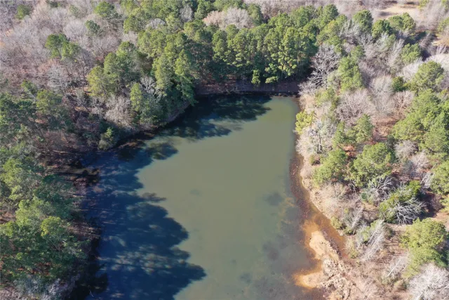 $711,230 | 1585 County Road 1585, Grapeland, TX 75844