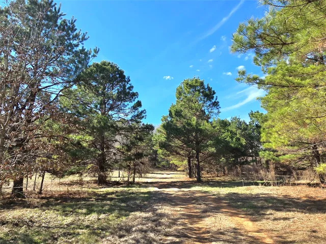 $711,230 | 1585 County Road 1585, Grapeland, TX 75844