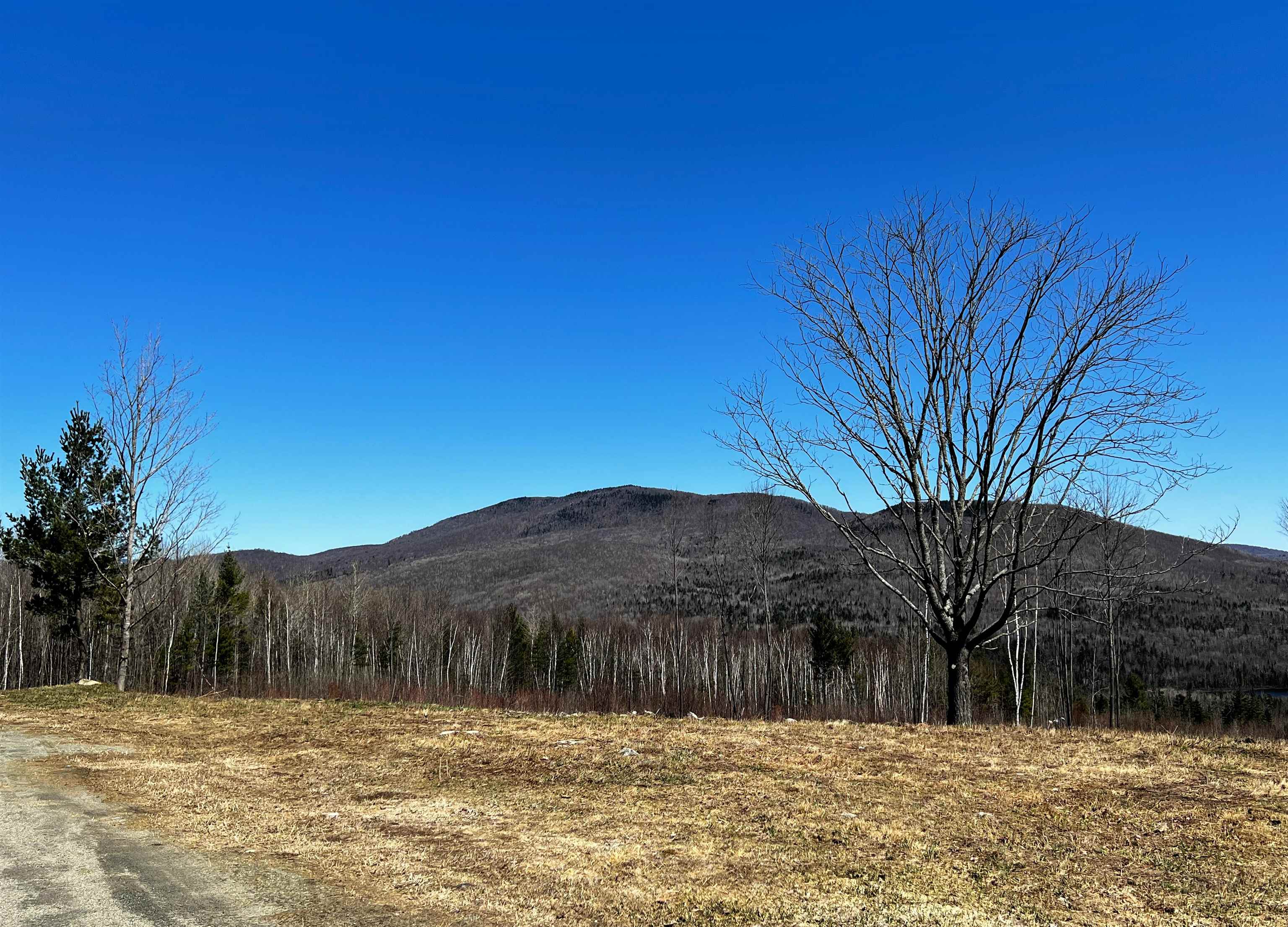 0 Streeter Road Concord, VT 05824 - Photo 12 of 23 Gallery Image 12