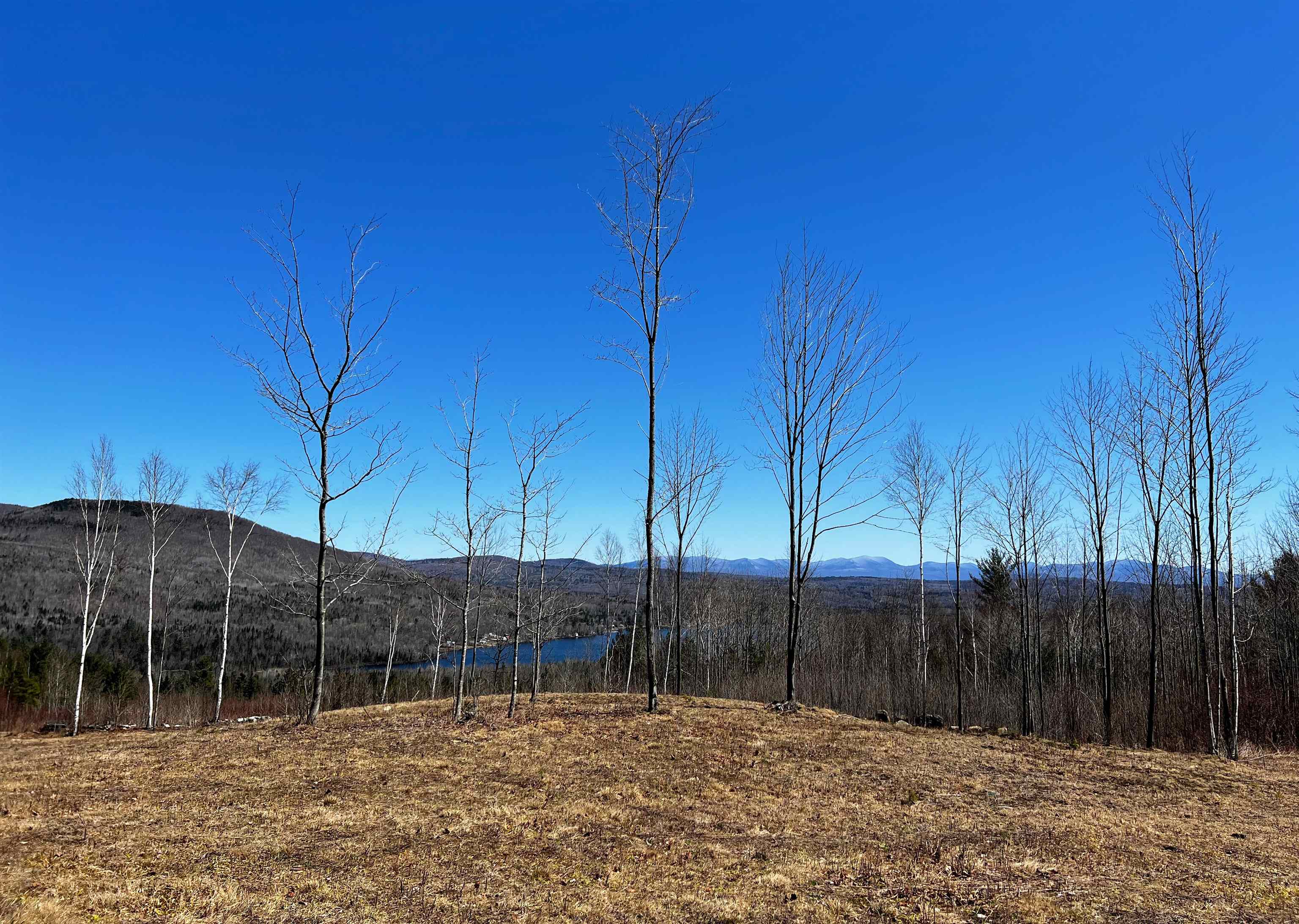 0 Streeter Road Concord, VT 05824 - Photo 16 of 23 Gallery Image 16