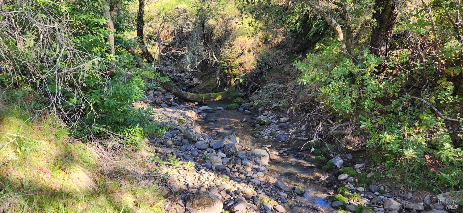 2101 Leslie Road Healdsburg, CA 95448 - Photo 4 of 22 a view of a forest that has a tree