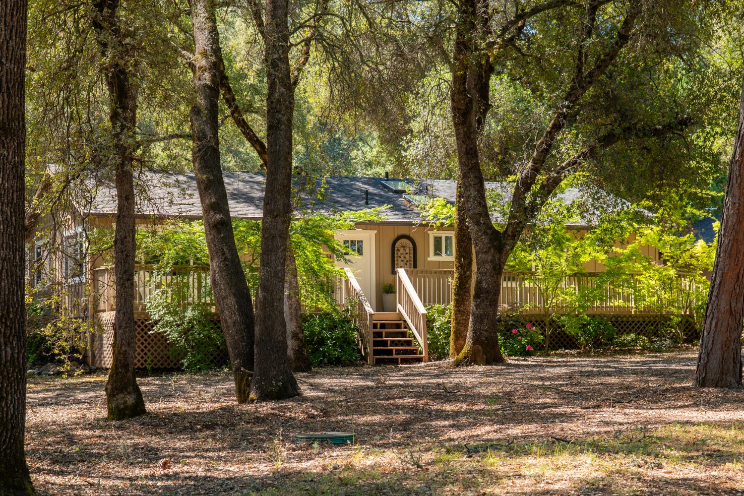 10875 Spenceville Road Penn Valley, CA 95946 - Photo 4 of 49 a view of a house with backyard and trees