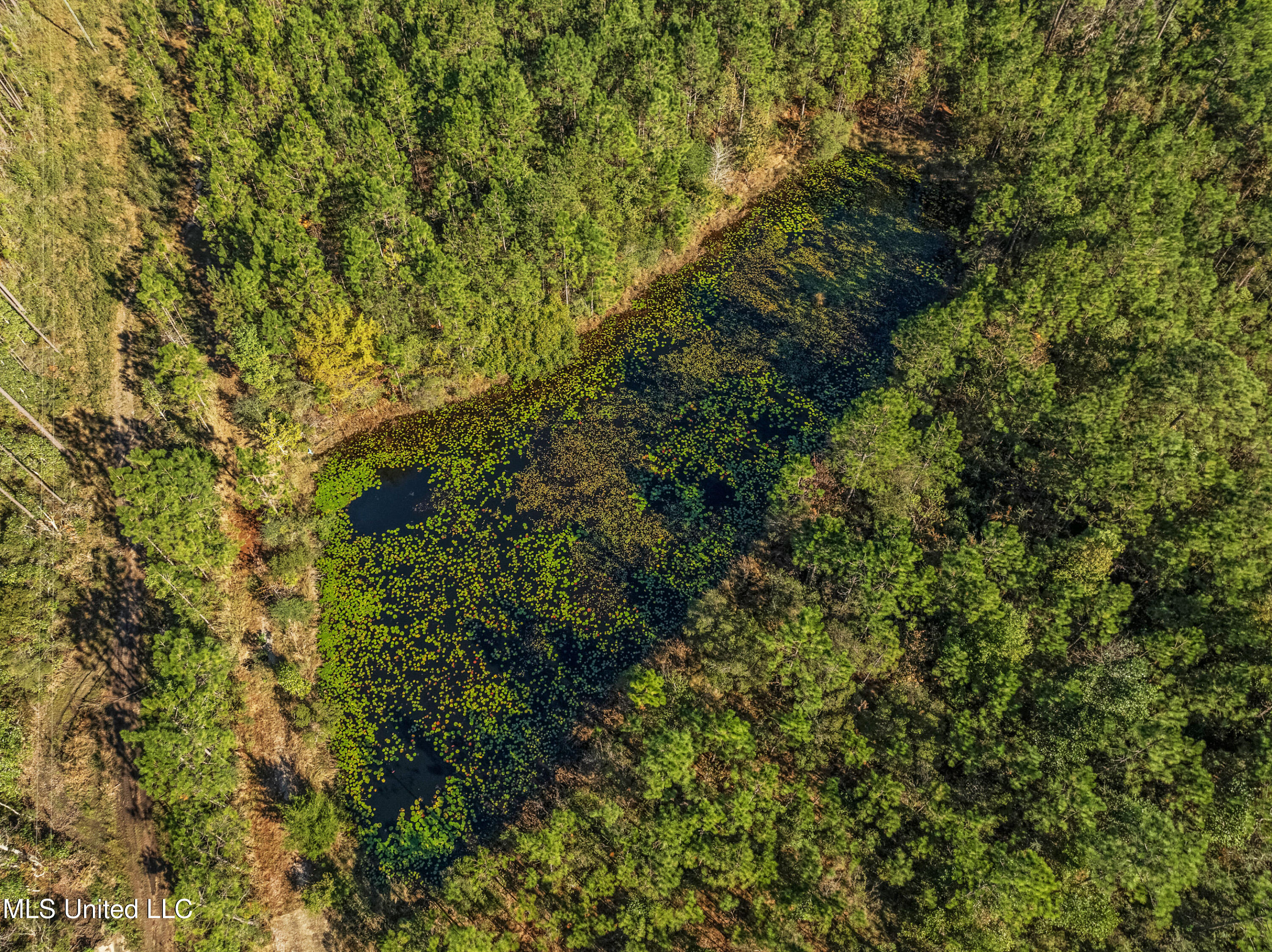 Krohn Road Vancleave, MS 39565 - Photo 12 of 13 KrohnLand-12