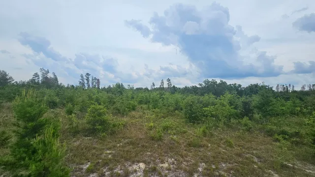 $73,500 | 0 Northeast Beulah Church Road, Lee, FL 32059