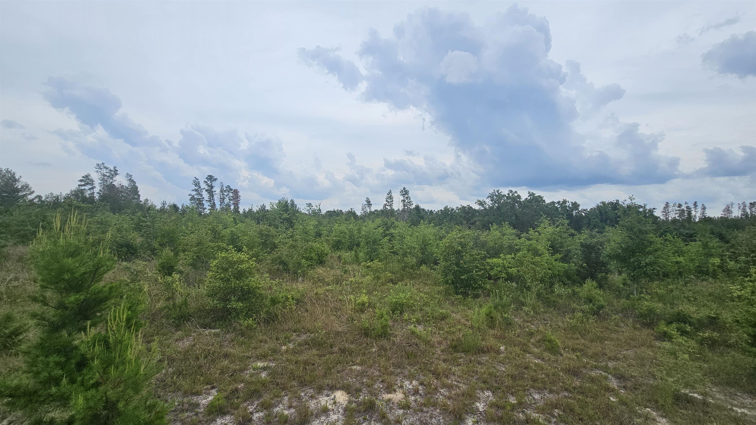 0 Northeast Beulah Church Road Lee, FL 32059 - Photo 2 of 9