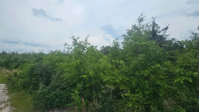 $73,500 | 0 Northeast Beulah Church Road, Lee, FL 32059