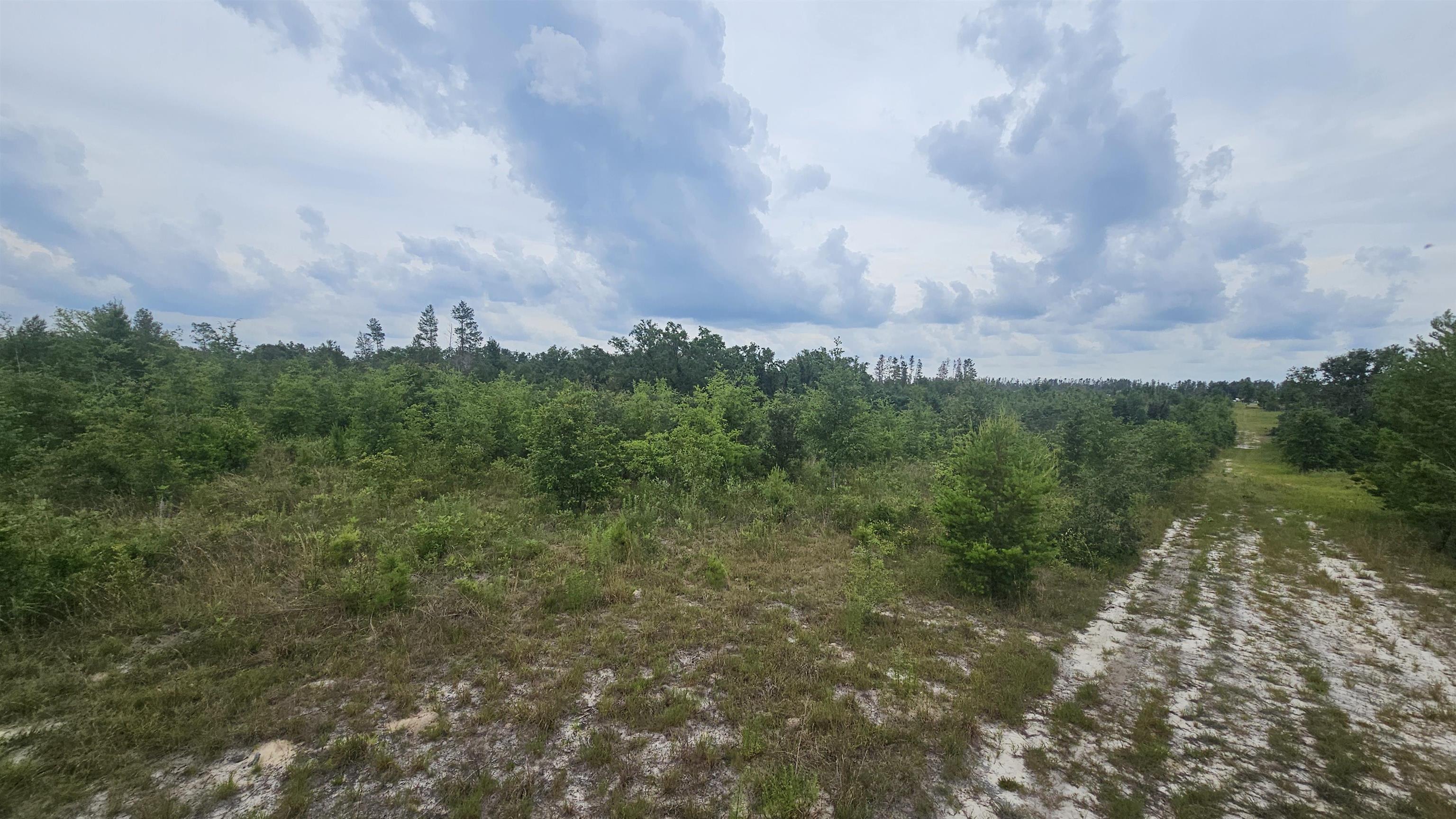 0 Northeast Beulah Church Road Lee, FL 32059 - Photo 4 of 9