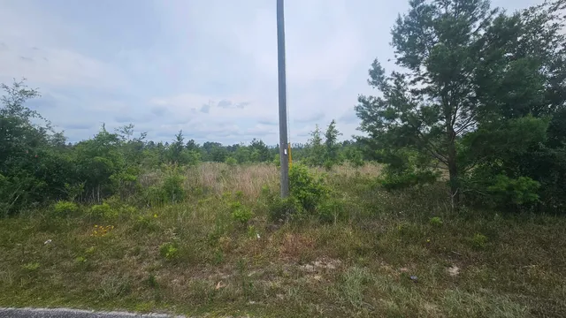 $73,500 | 0 Northeast Beulah Church Road, Lee, FL 32059