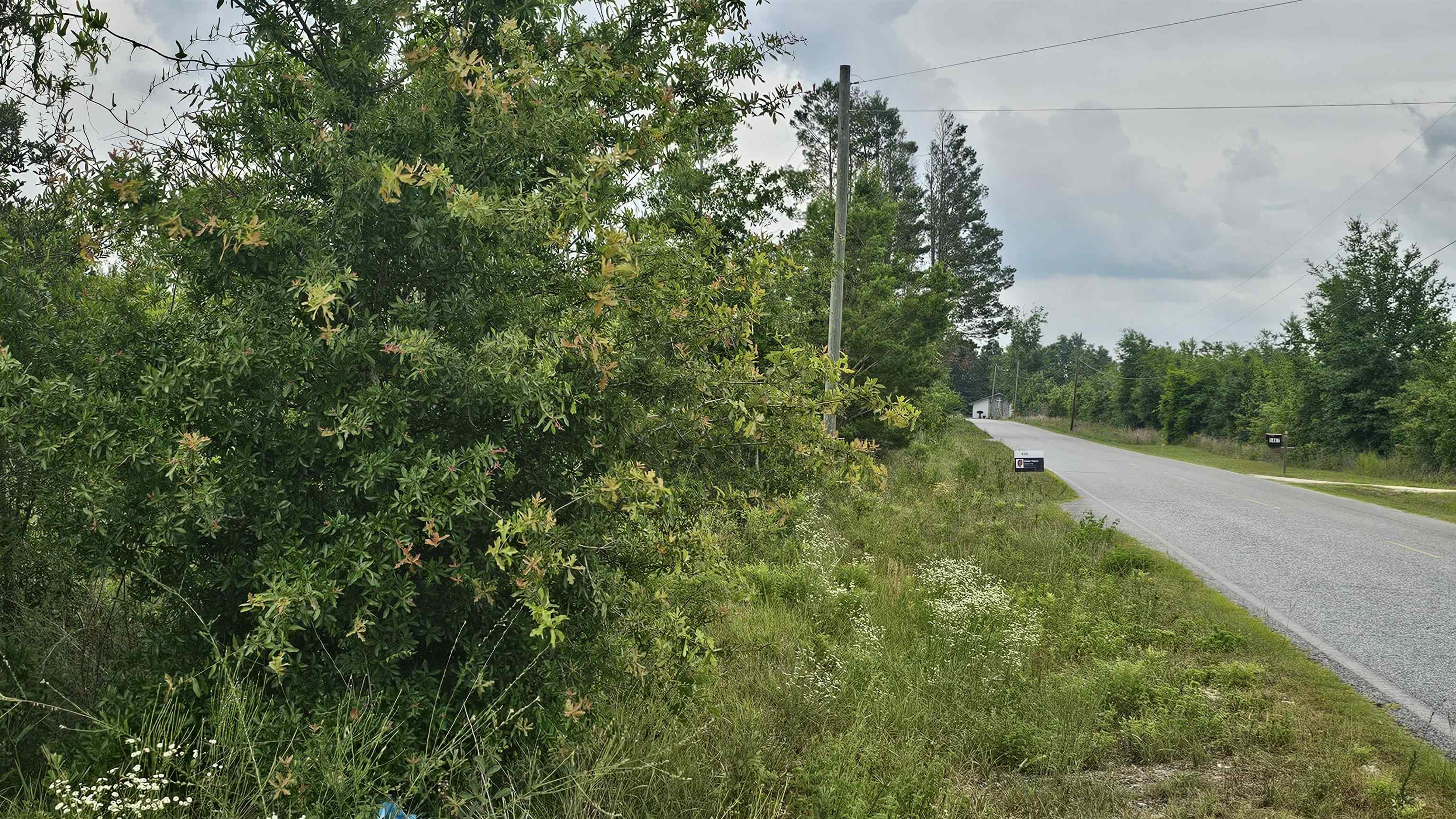 0 Northeast Beulah Church Road Lee, FL 32059 - Photo 7 of 9