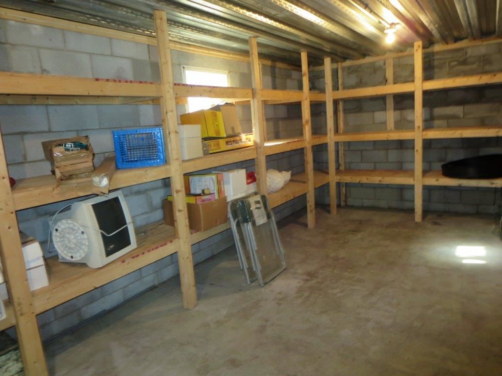 1197 7 Fountains Road Fort Valley, VA 22652 - Photo 17 of 31 Basement Storage