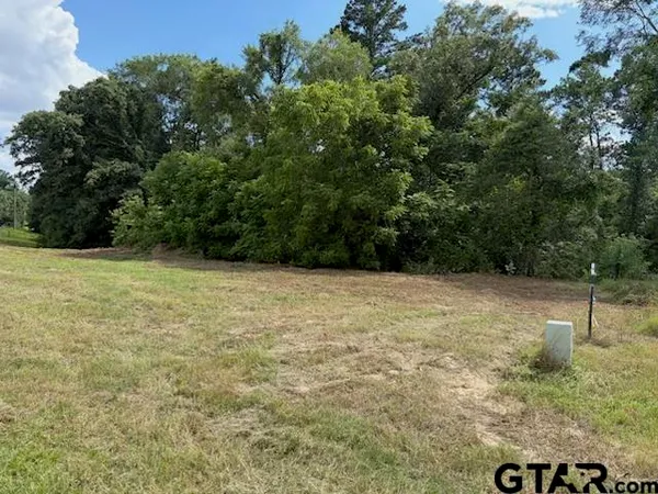 $40,000 | Tbd Cypress Creek Drive, Diana, TX 75640