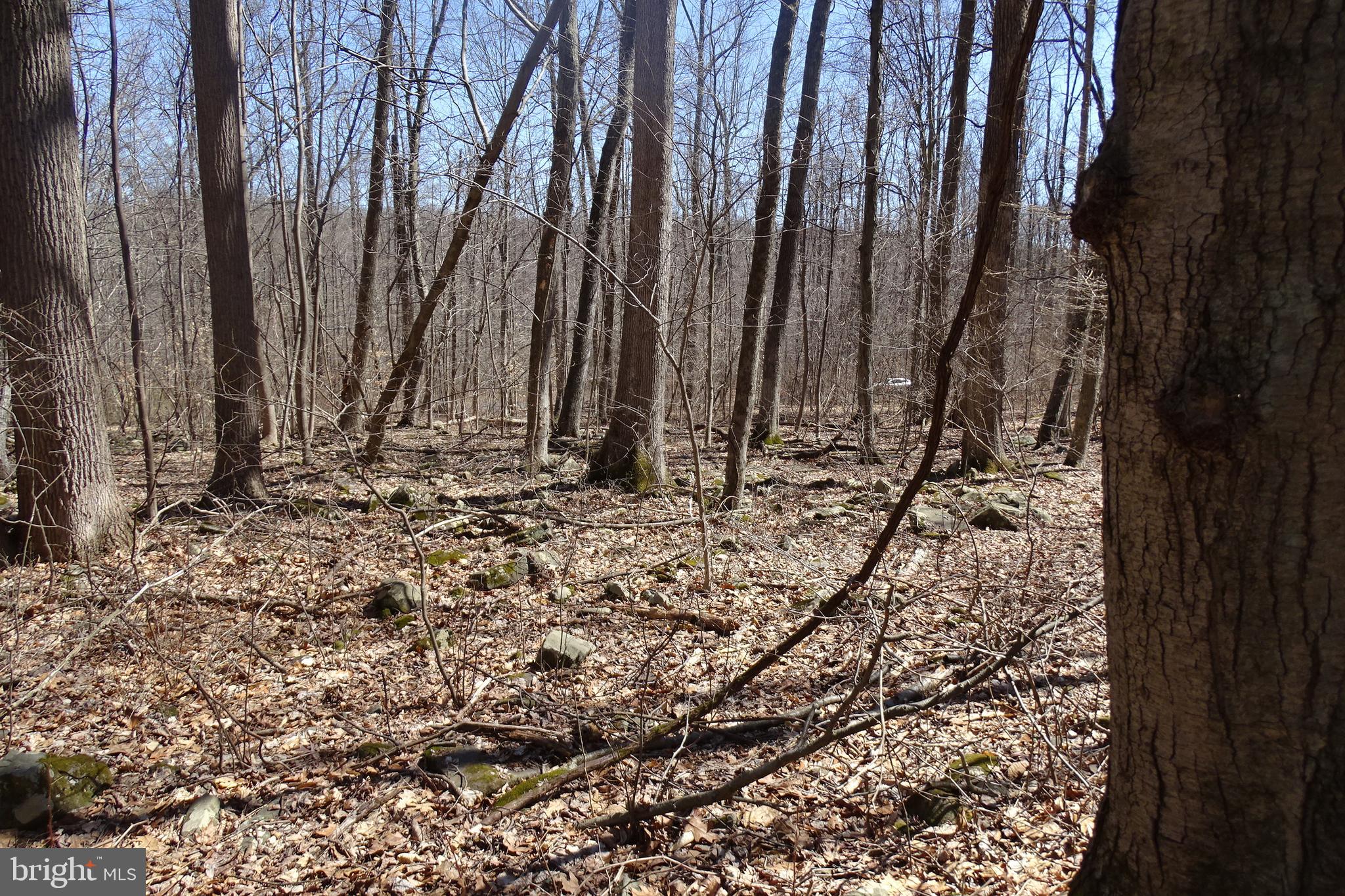 0 Swamp Creek Road Pennsburg, PA 18073 - Photo 1 of 7