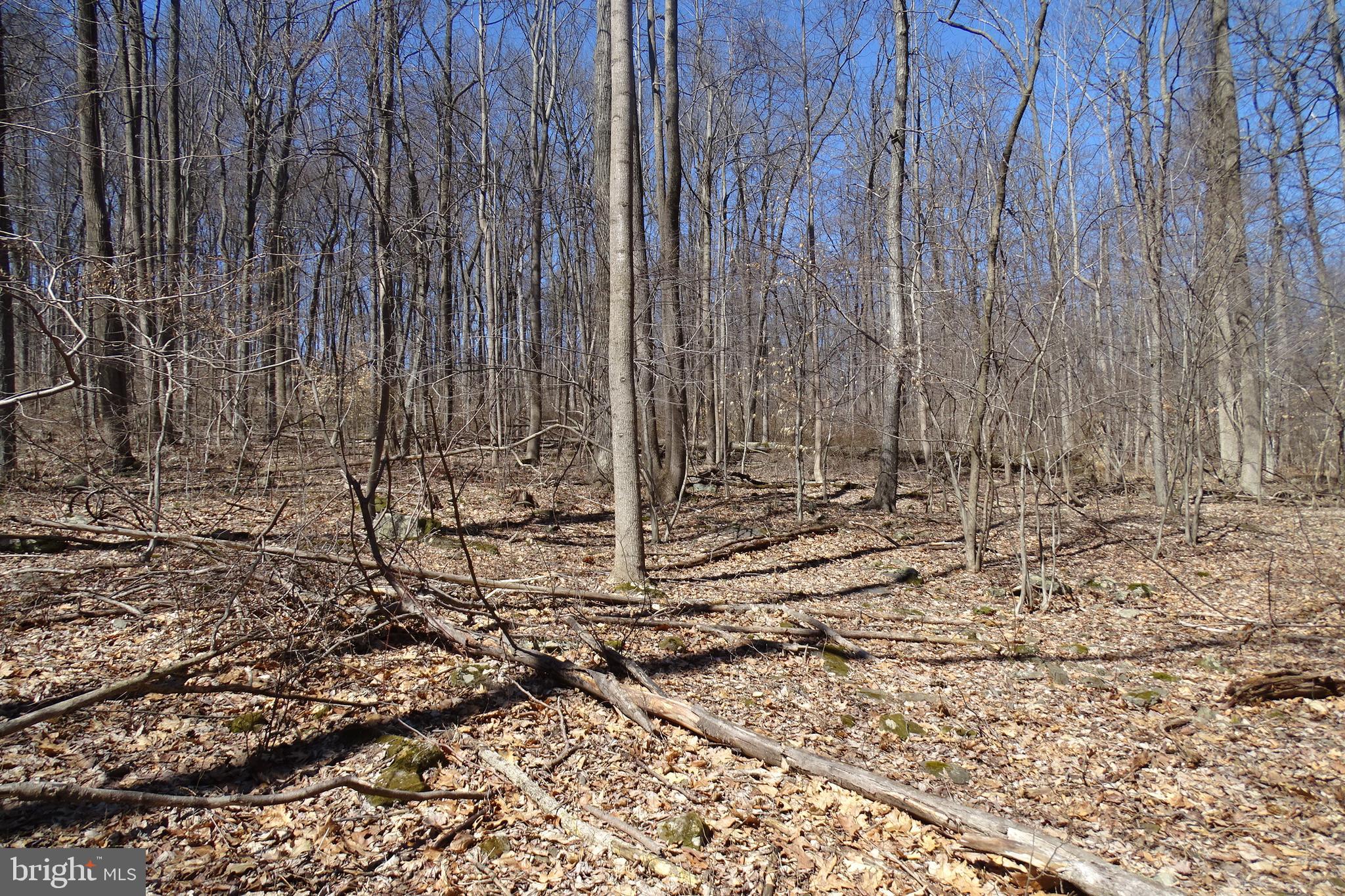0 Swamp Creek Road Pennsburg, PA 18073 - Photo 3 of 7