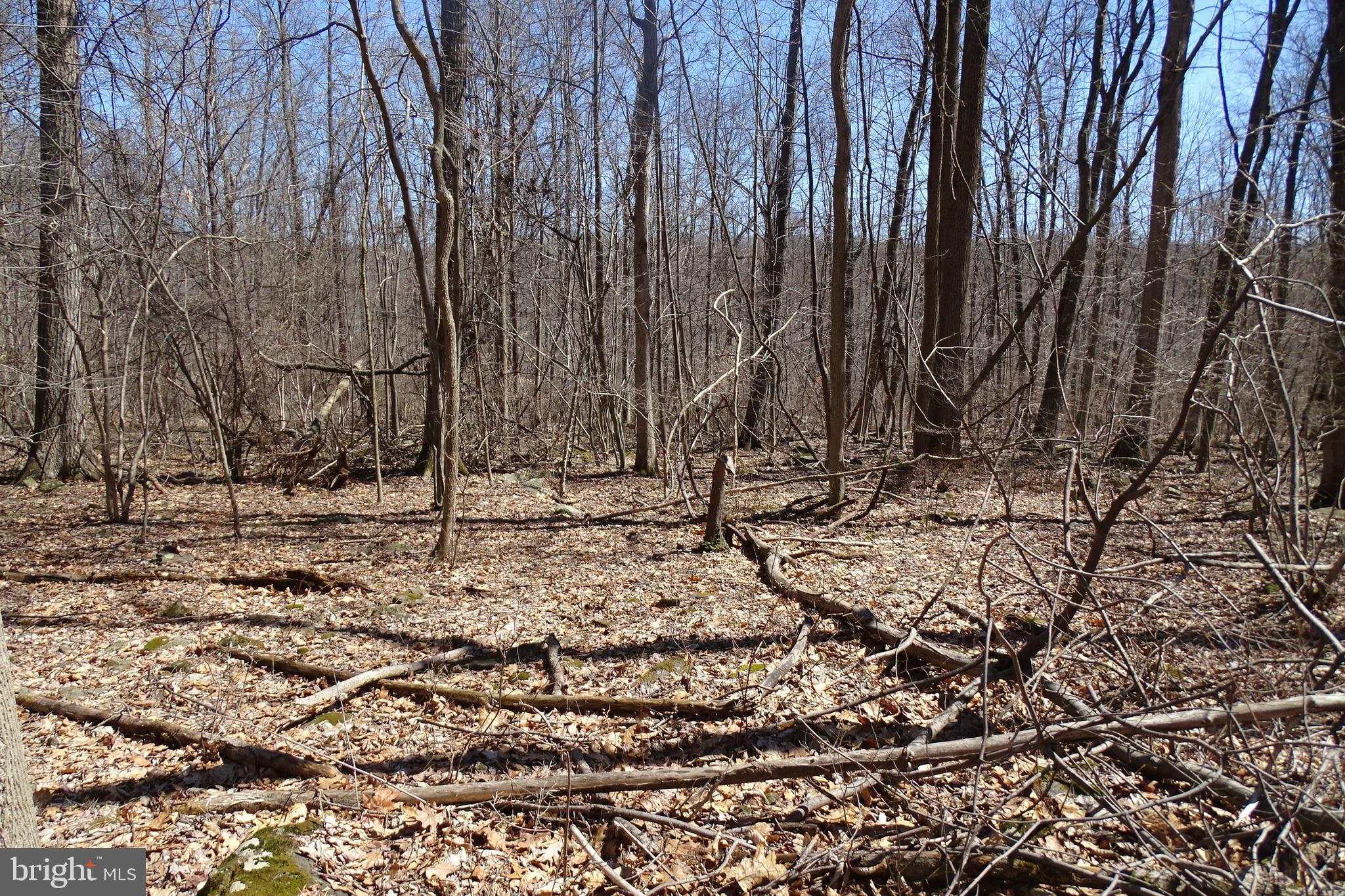 0 Swamp Creek Road Pennsburg, PA 18073 - Photo 4 of 7