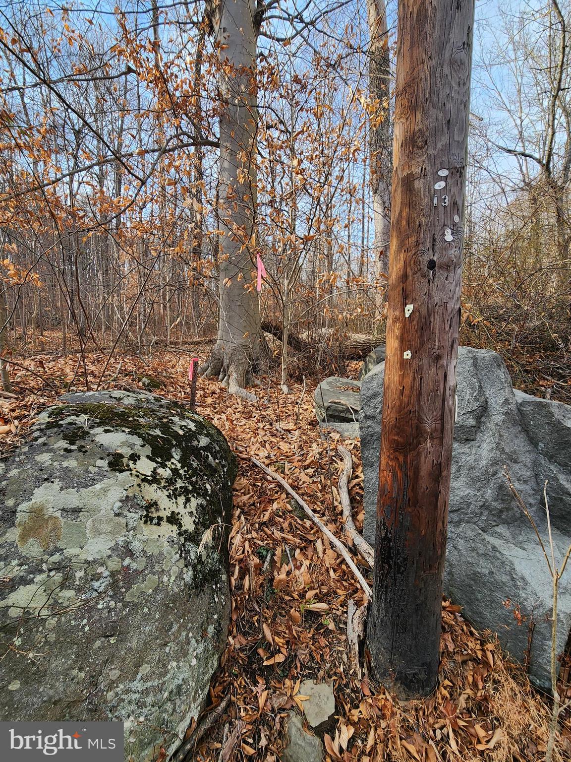 0 Swamp Creek Road Pennsburg, PA 18073 - Photo 7 of 7 North Boundary