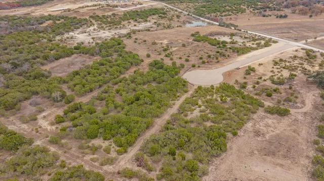 a view of a dry yard in a forest