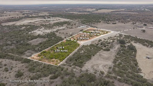 a view of a forest with trees