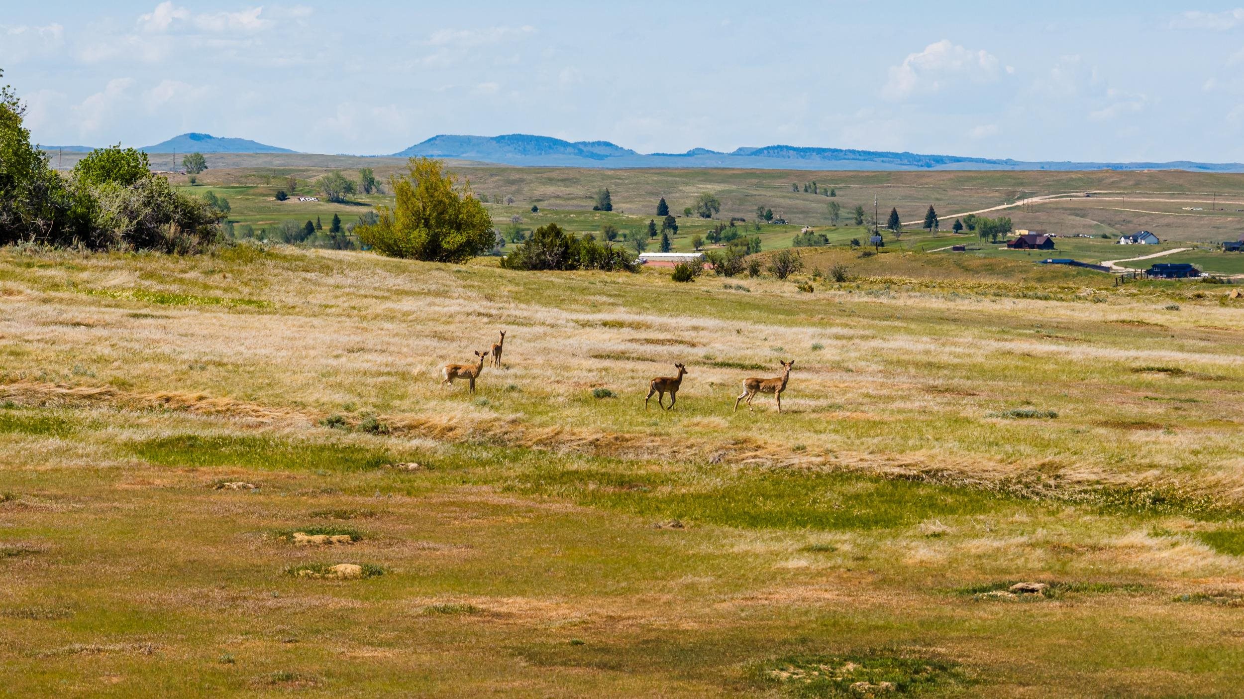 Tbd North Upper Road Sheridan, WY 82801 - Photo 2 of 31