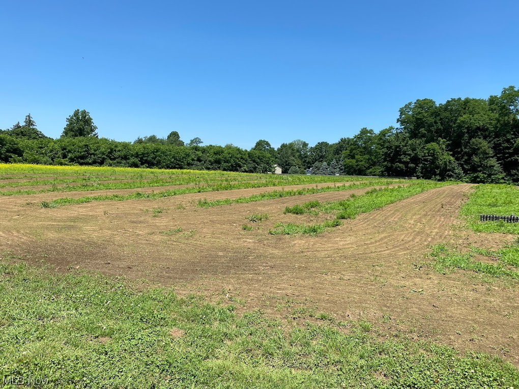 Meadows Road Madison, OH 44057 - Photo 6 of 17