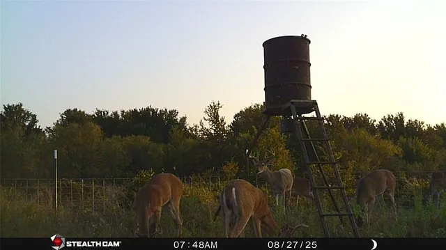 a view of outdoor space and a yard