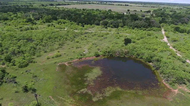 a view of a forest with a street
