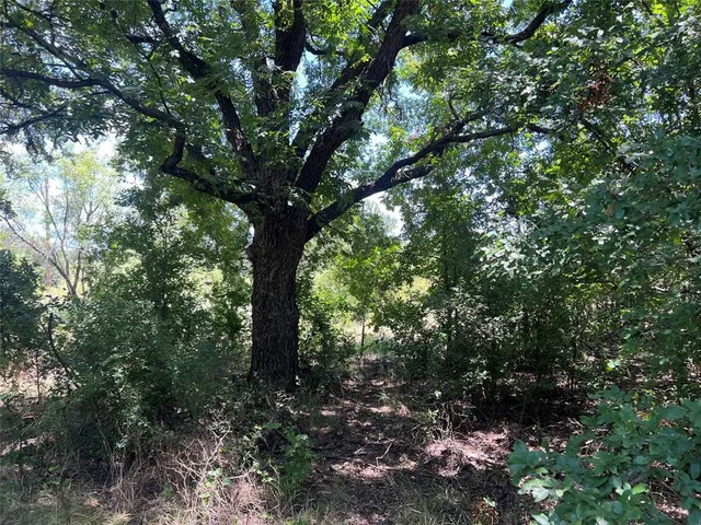 a view of swimming pool with a yard