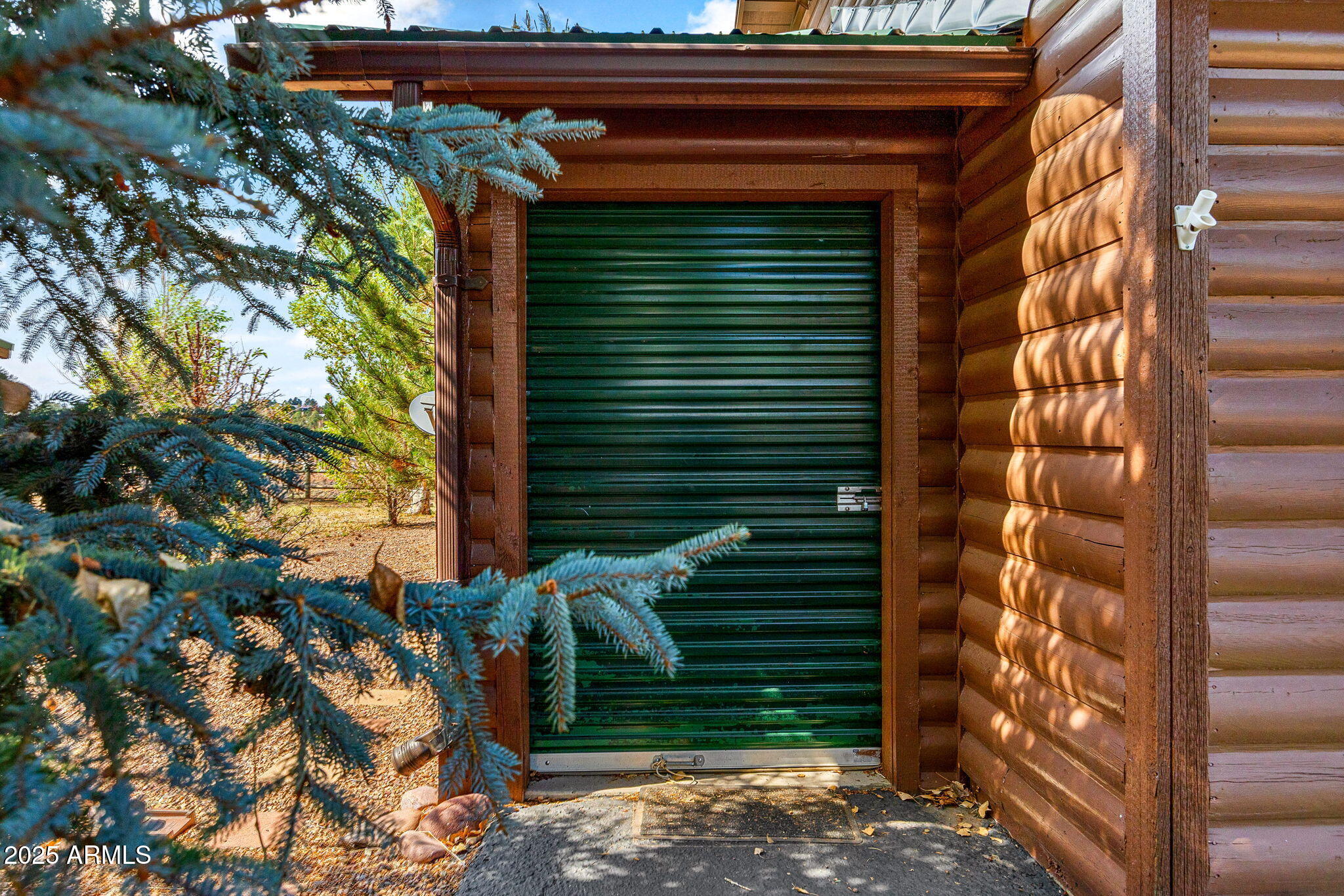2344 Buffalo Loop Overgaard, AZ 85933 - Photo 23 of 30 a view of entryway