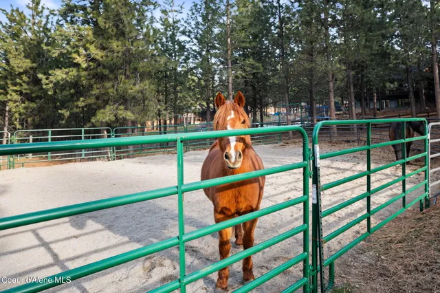 $1,299,000 | 477 South Prestige Court, Post Falls, ID 83854