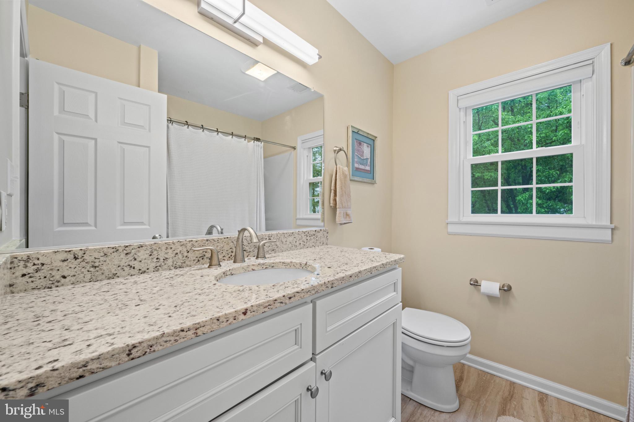 8730 Mapleville Road Mount Airy, MD 21771 - Photo 50 of 91