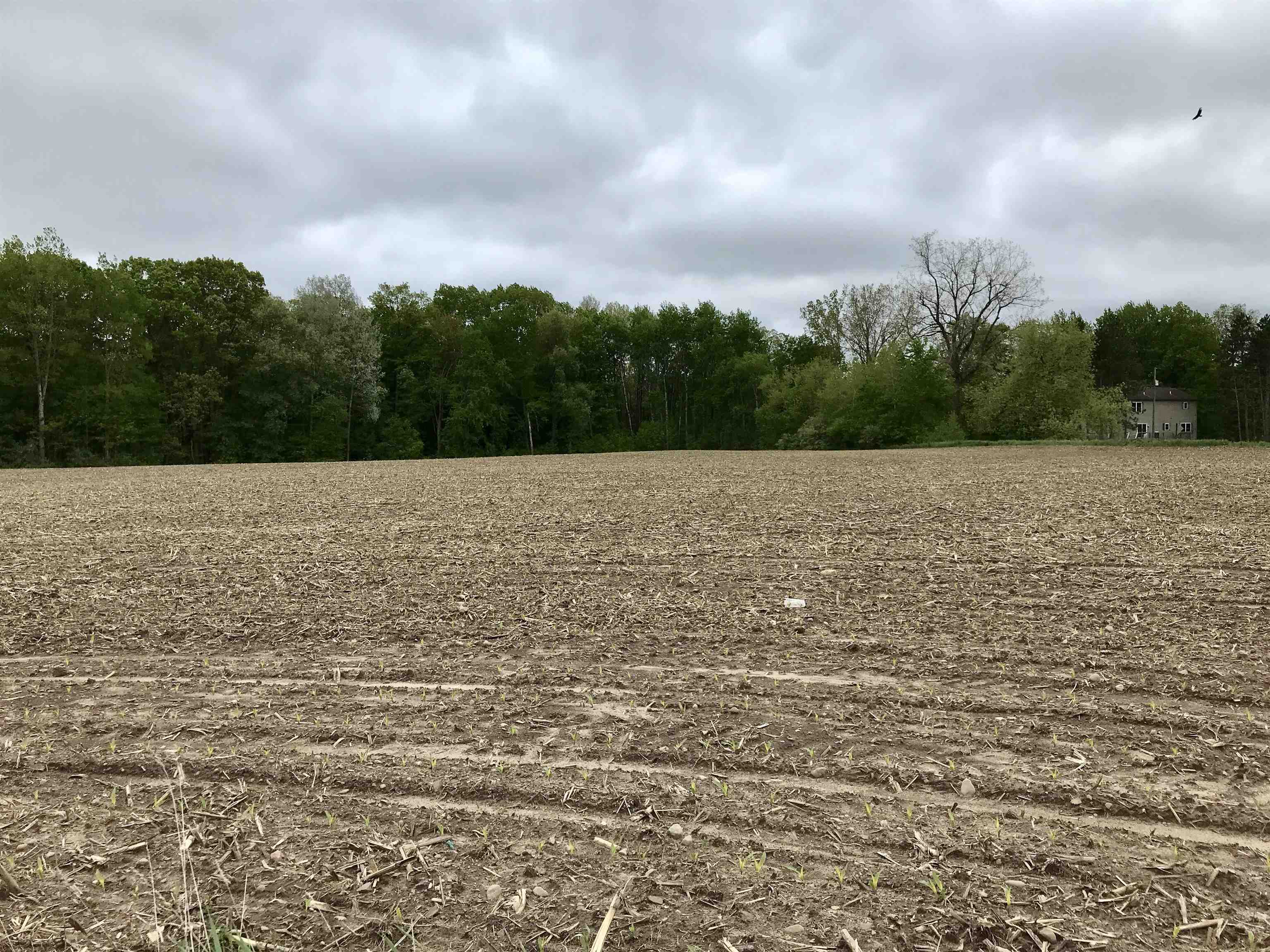 3848 East Stanton Road Stanton, MI 48888 - Photo 50 of 91