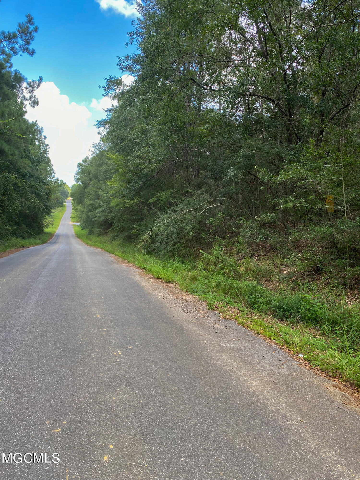35-ac Richard Reeves Road Lucedale, MS 39452 - Photo 2 of 6 IMG_3604