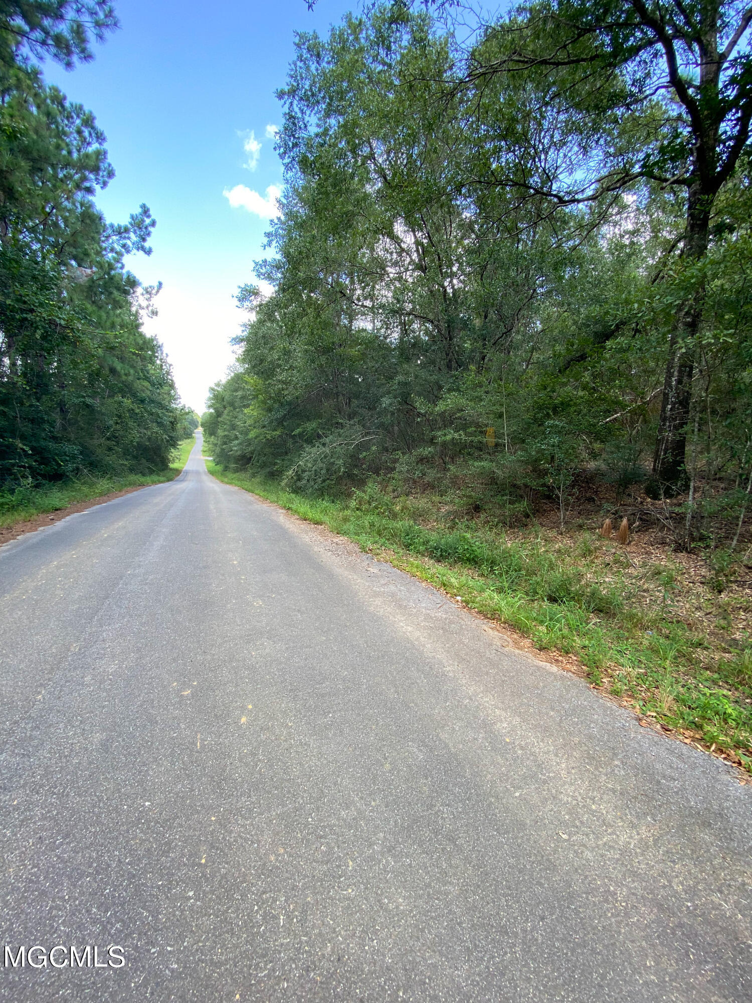 35-ac Richard Reeves Road Lucedale, MS 39452 - Photo 3 of 6 IMG_3605