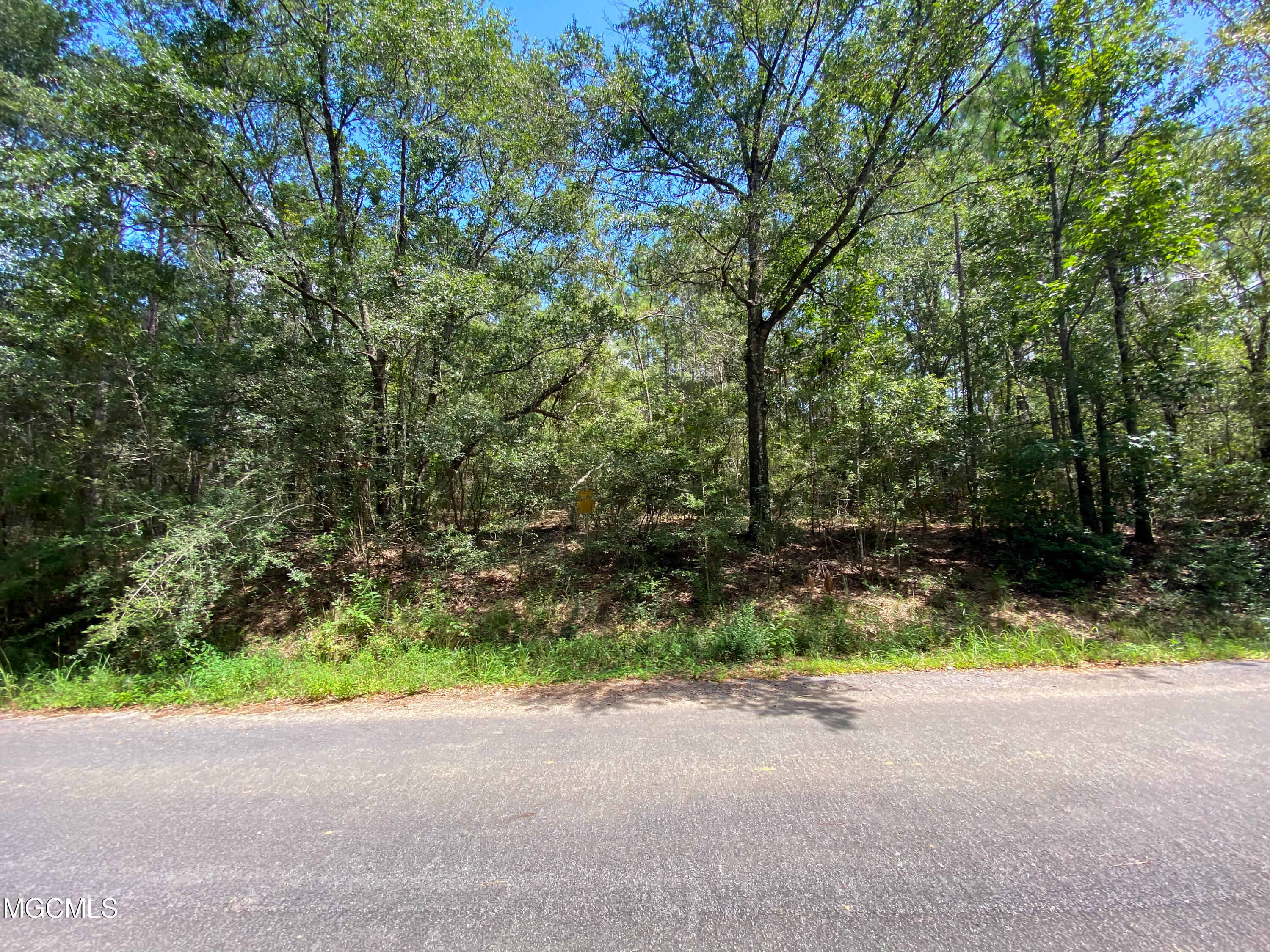 35-ac Richard Reeves Road Lucedale, MS 39452 - Photo 6 of 6 IMG_3608