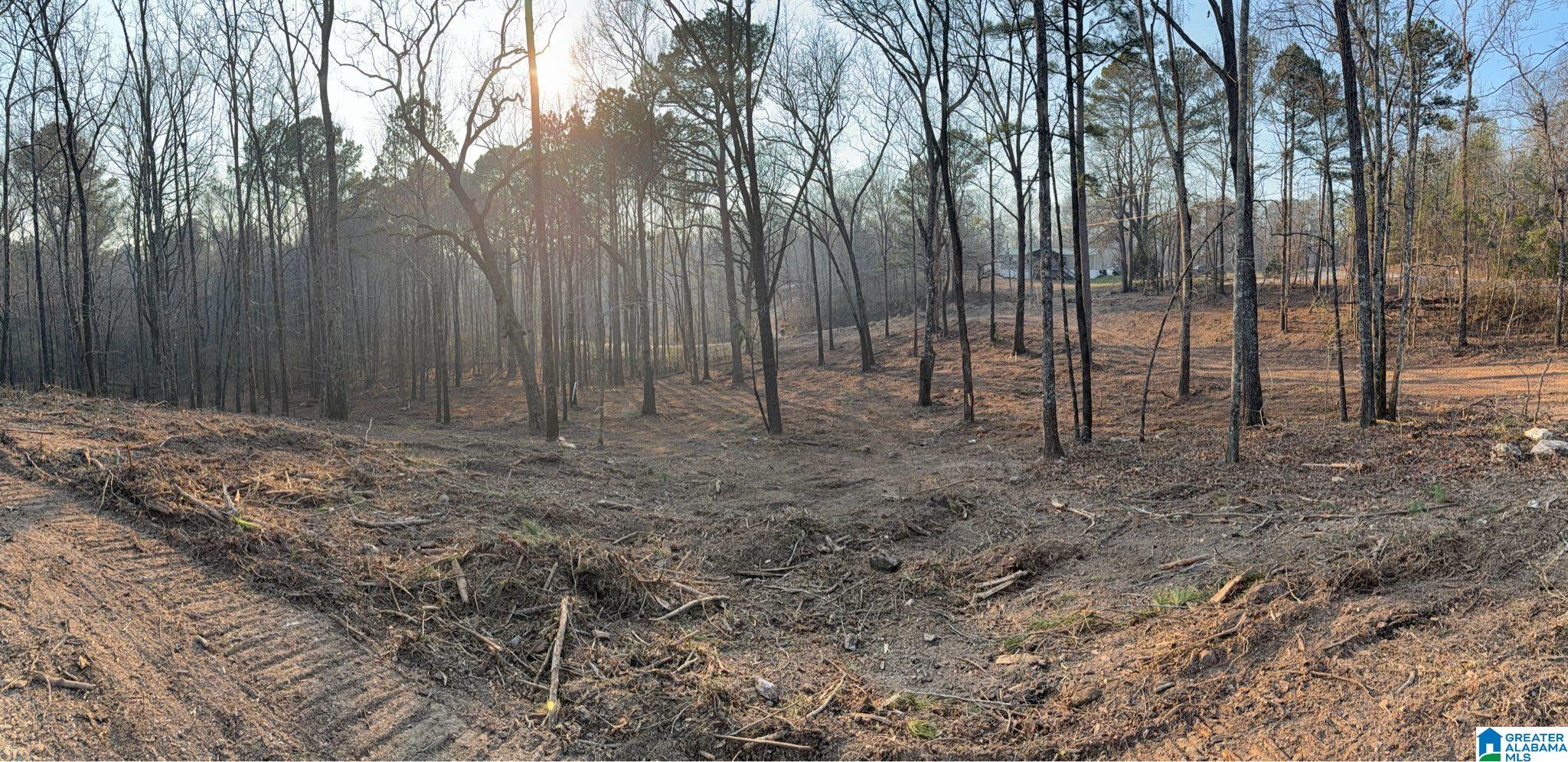 1895 Eureka Road Lincoln, AL 35096 - Photo 3 of 3