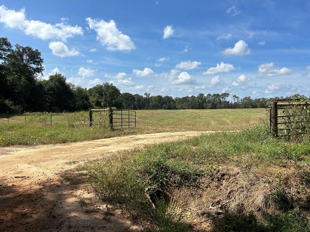 20.33-ac Sewell Road Dothan, AL 36301 - Photo 3 of 36
