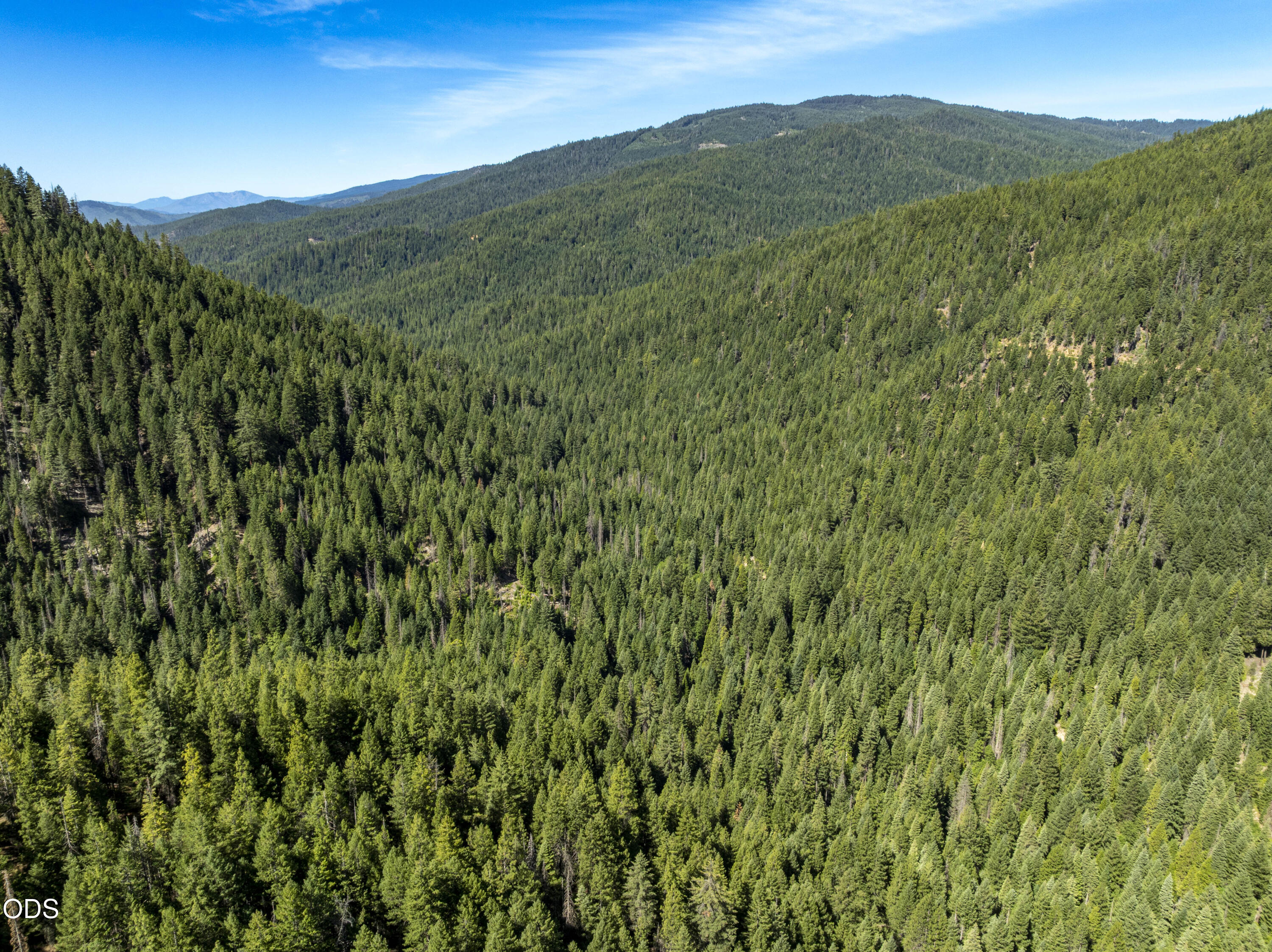 0 Hungry Ridge Ashland, OR 97520 - Photo 49 of 55