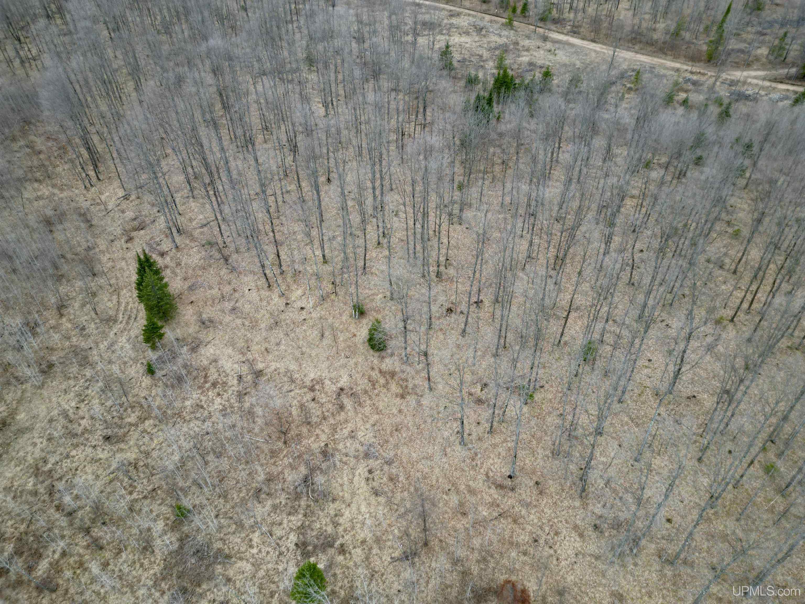 Tbd North Gaber Rd H Road Perronville, MI 49873 - Photo 7 of 14